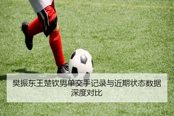樊振东王楚钦男单交手记录与近期状态数据深度对比