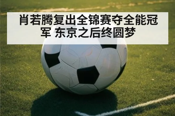 肖若腾复出全锦赛夺全能冠军 东京之后终圆梦